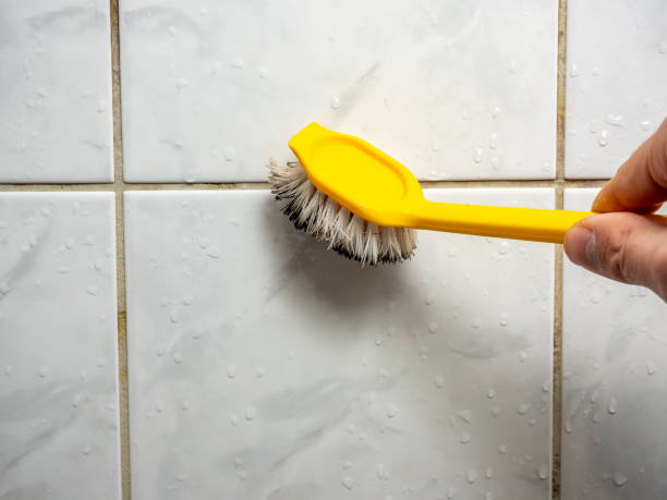 Best Mold Testing and Inspection Services in Belle Mead, NJ