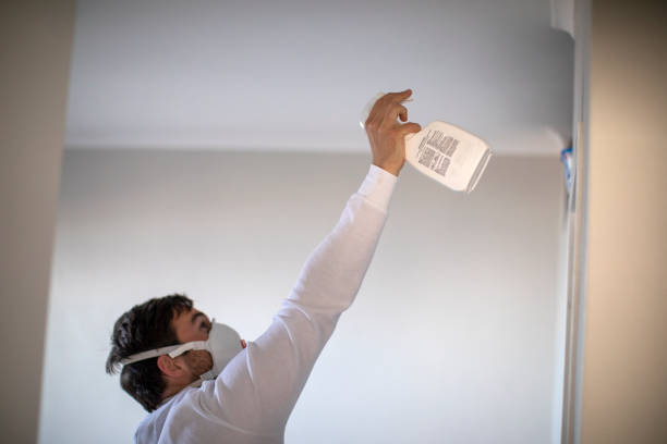 Best Residential Mold Remediation in Belle Mead, NJ