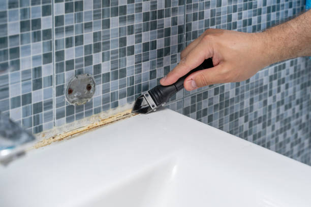 Best Mold Remediation for Specific Building Types in Belle Mead, NJ
